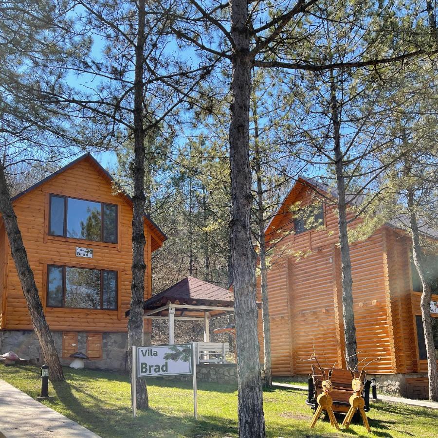 Sky Land Camping & Resort Cricova Exteriör bild