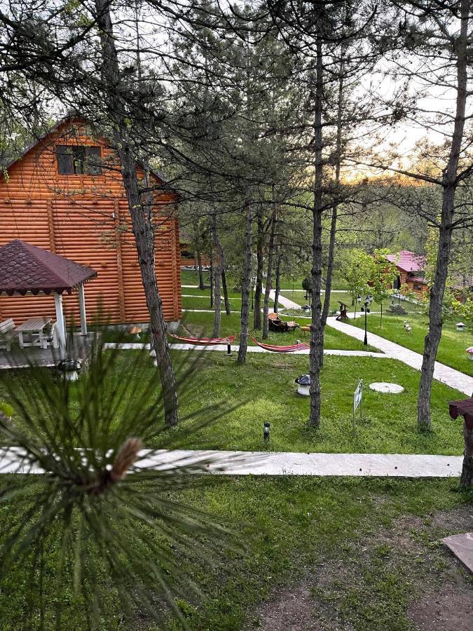 Sky Land Camping & Resort Cricova Exteriör bild